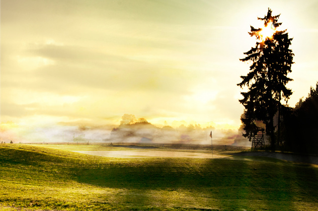 RESTAURACE <br>VILA BOTANIKA <br>REZERVACE: 770179832